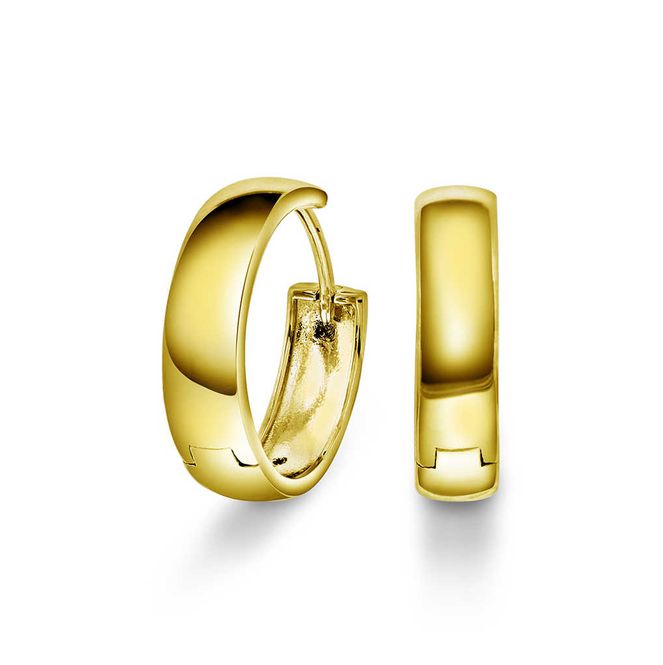 Hovedbilde Vienna øreringer i forgylt sølv 221366